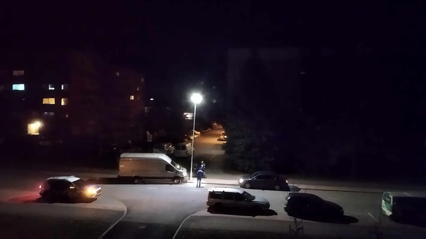Artikli foto