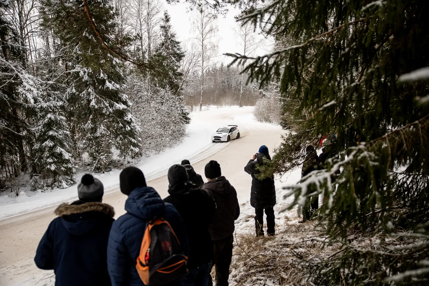 Ott Tänak tõi Otepääle kohale tuhandeid rallisõpru.