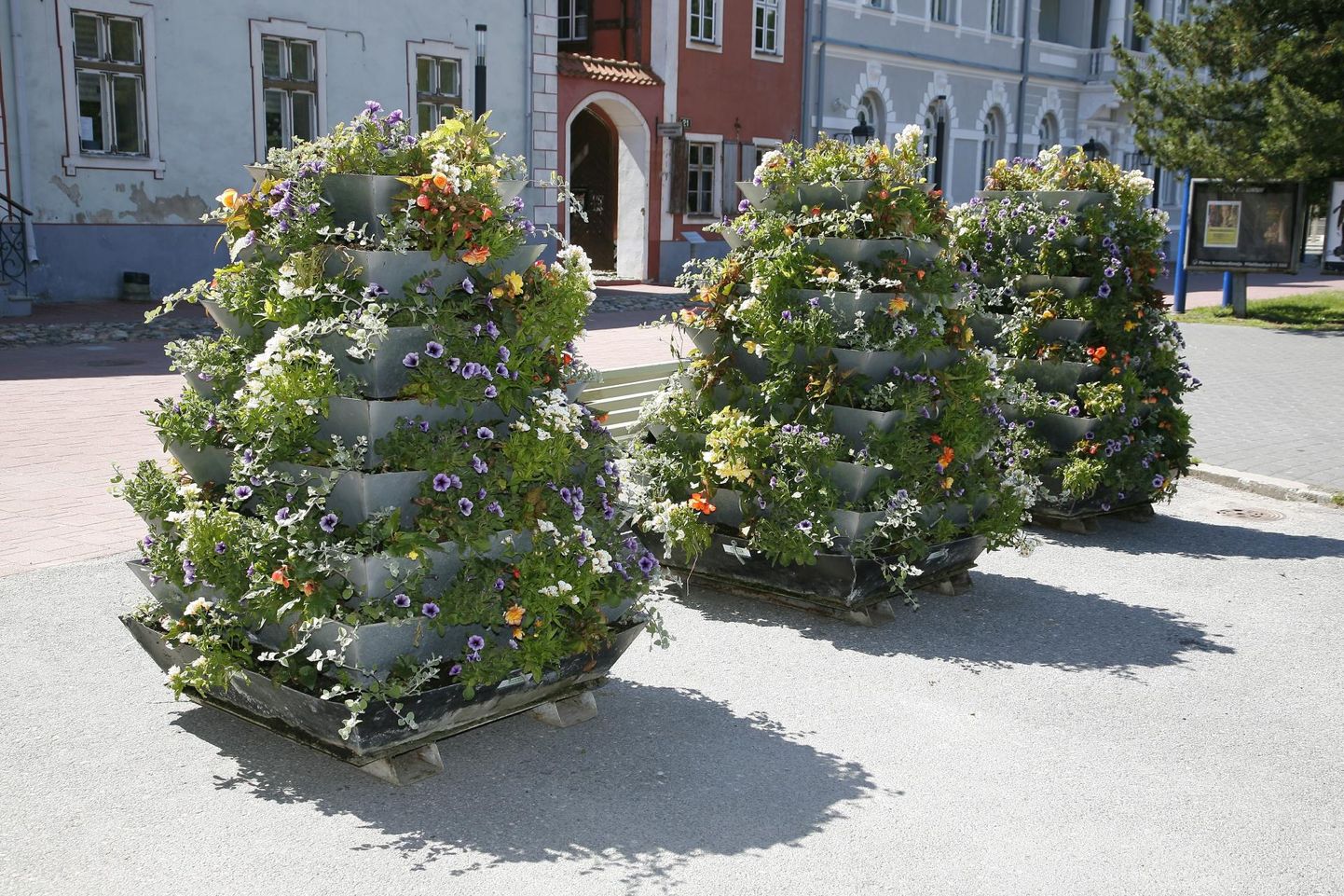 Lillepüramiidid tulevad Pärnu Rüütli tänavale sellelgi suvel.