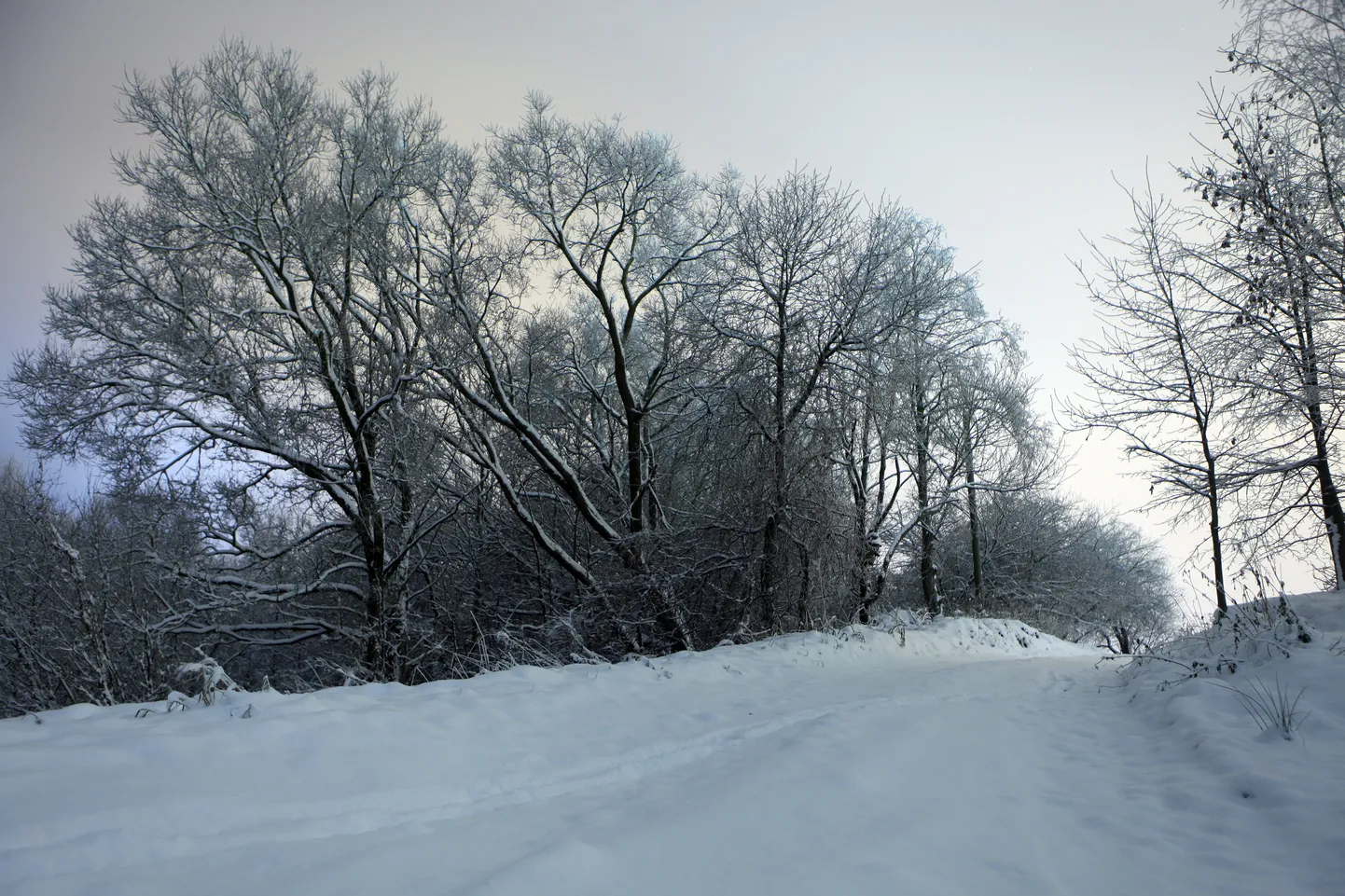 Ceļš ziemā Ķekavas novadā.