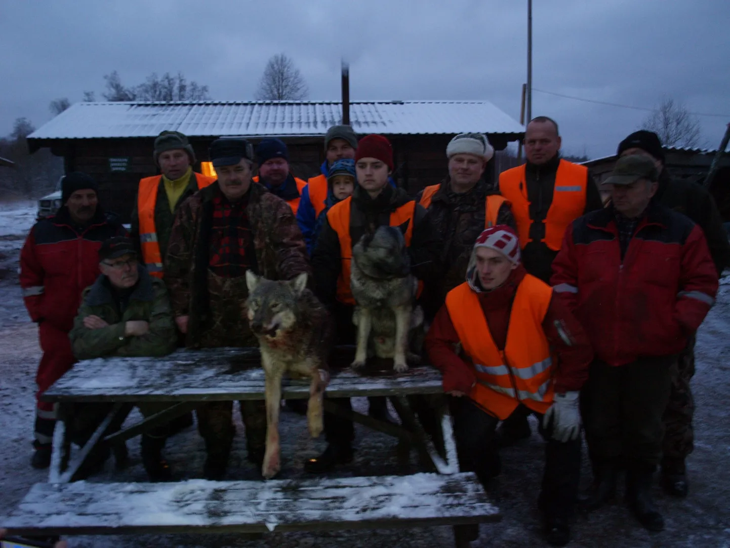 Tänassilma jahiseltsi kütid said pühapäevasel retkel kätte hundi.