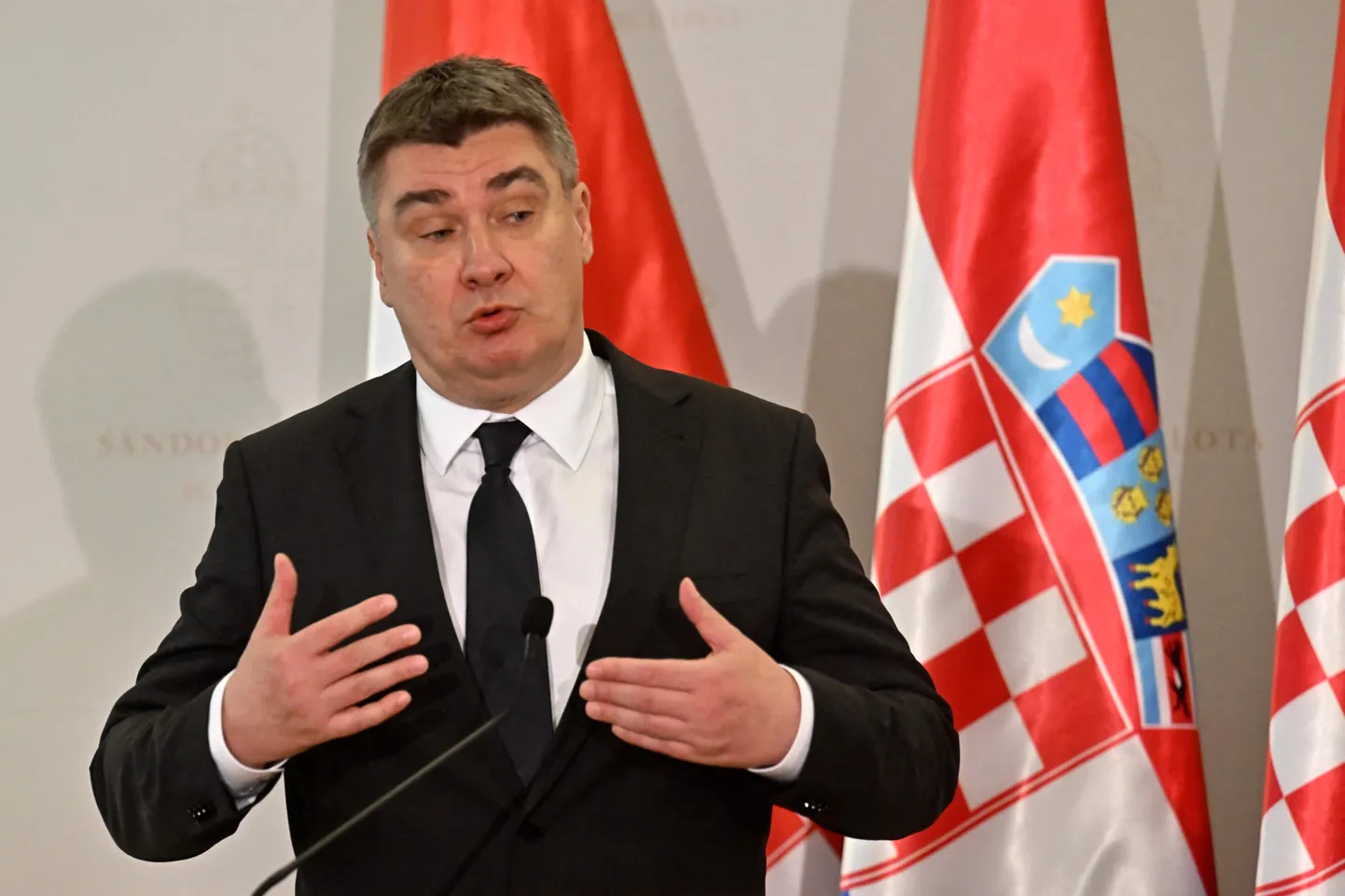 Horvaatia president Zoran Milanović.