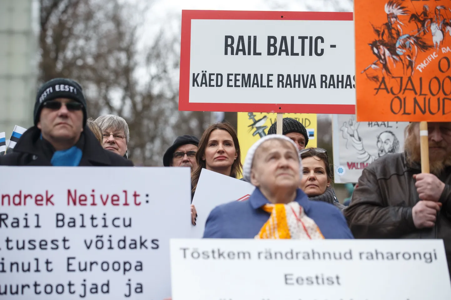 Rail Balticu vastane meeleavaldus Vabaduse väljakul