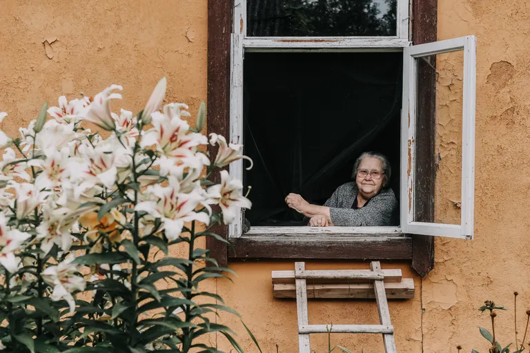 Klusā daba ar Antoņinu un lilijām.