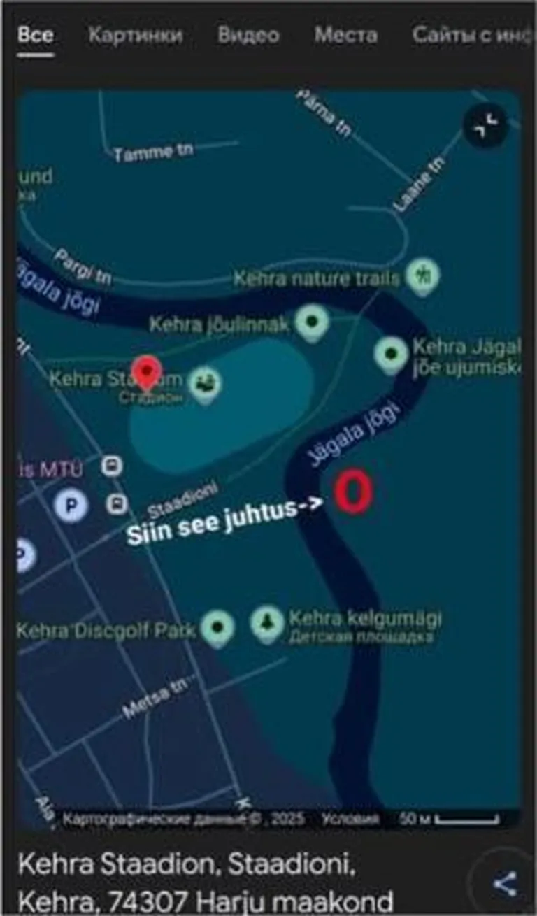 Postituses väideti, et kutsikas visati vette kaardil näidatud kohas.