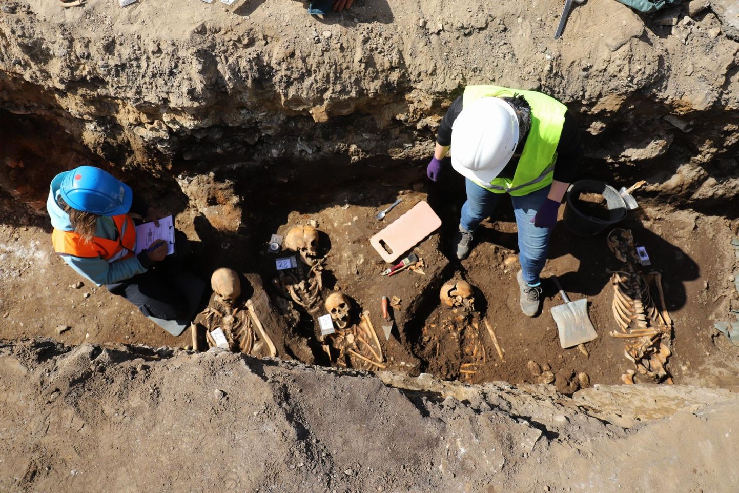 Arheoloogidel tuli täna tegelda enam kui kümne skeletiga.