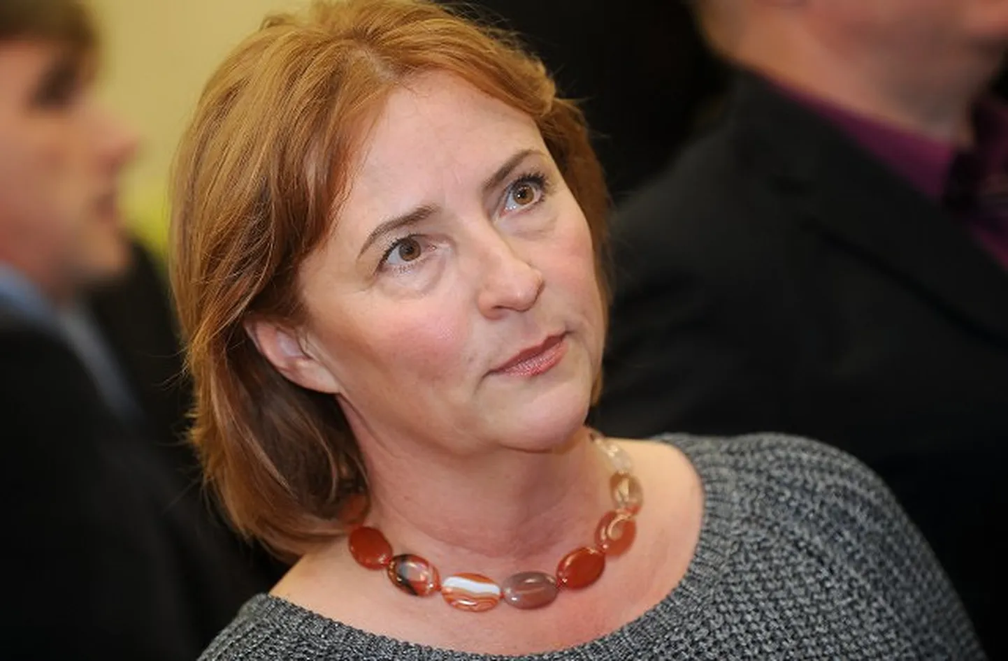 Raksta foto