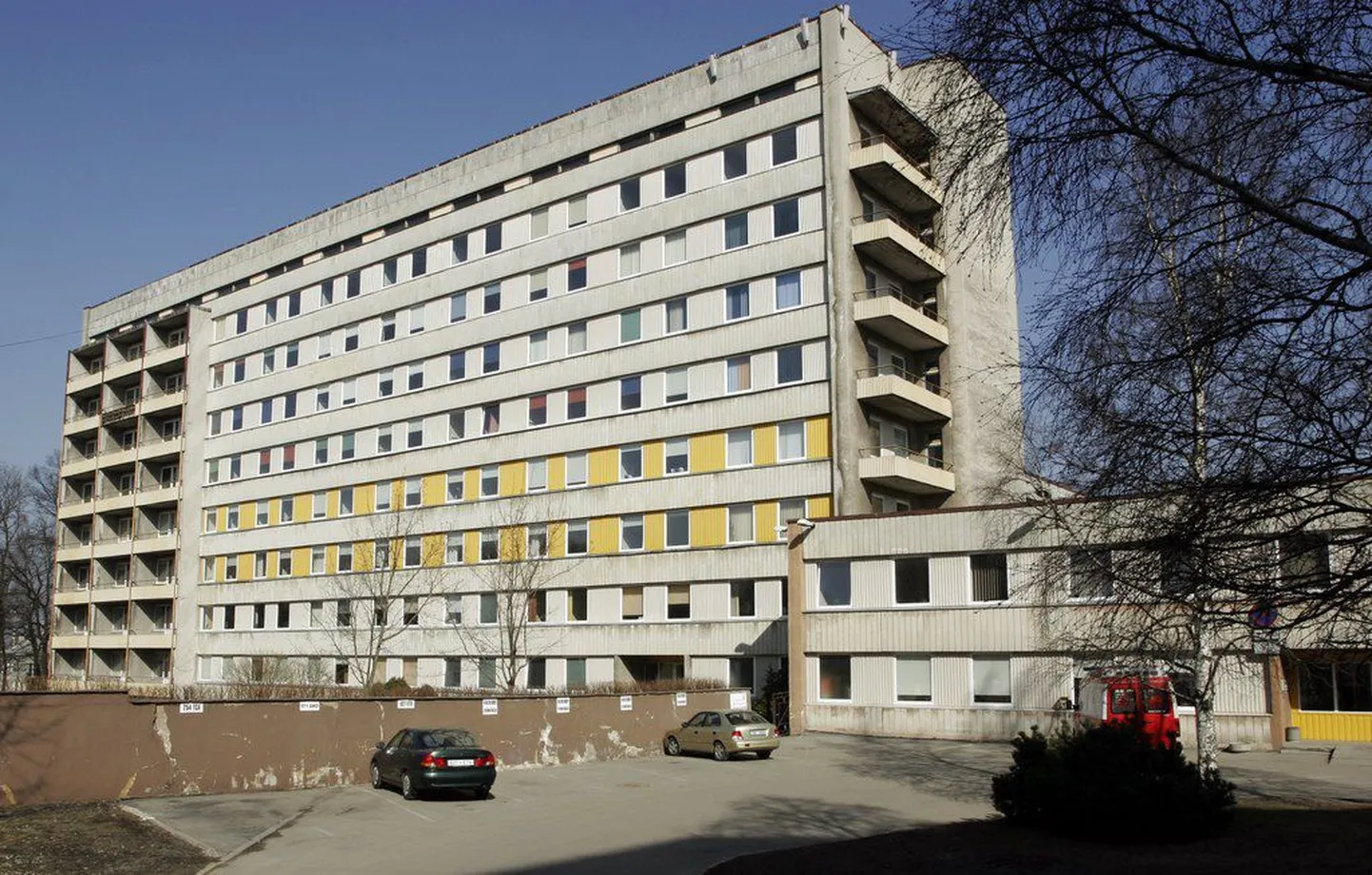 Фото статьи