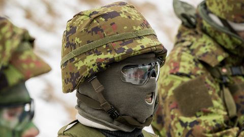 FOOKUS ⟩ Mitmele riigikogulasele tuli kaitseväele riigisises