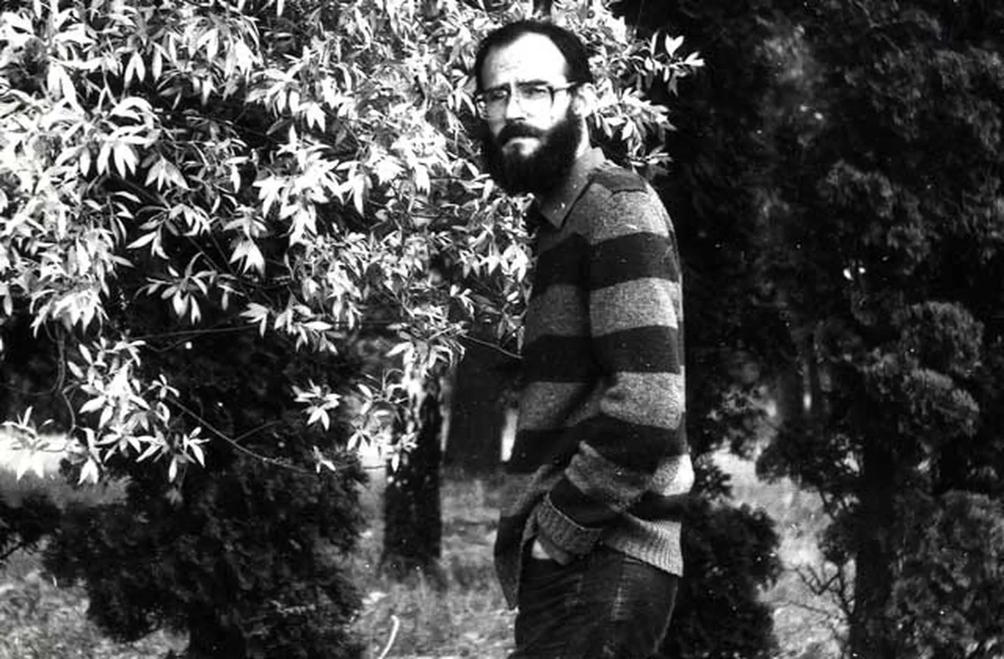 Raksta foto