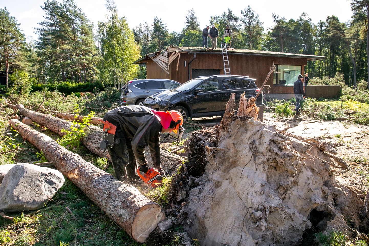 Septembri lõpus laastas torm eriti jõuliselt Pärnumaal Valgerannas, kus kukkuvate mändide all said kannatada nii majad kui ka autod.