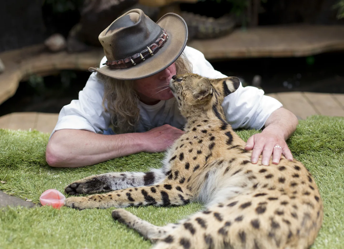 Iain Newby ja tema lemmikloom serval Squeaks.