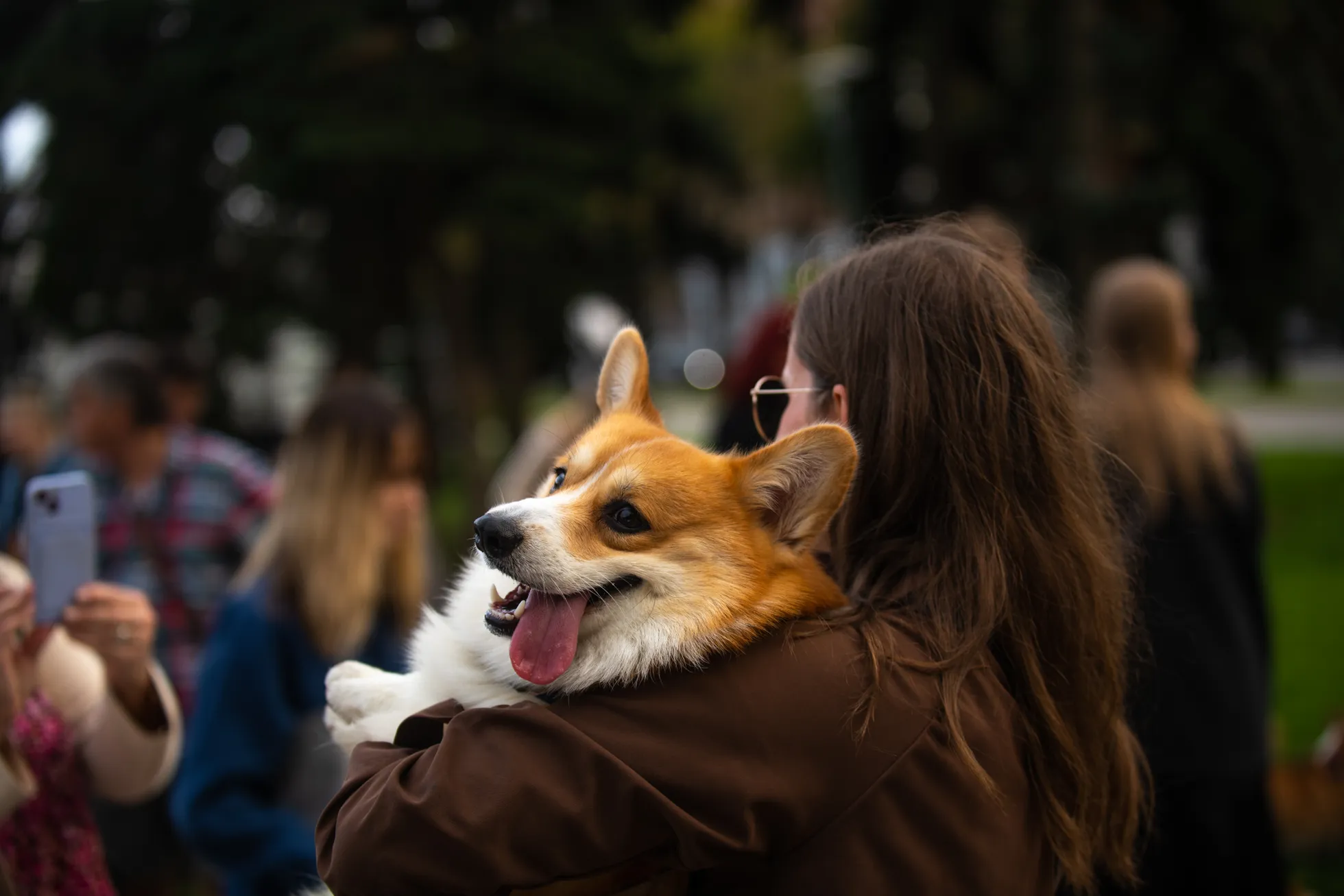 Raksta foto