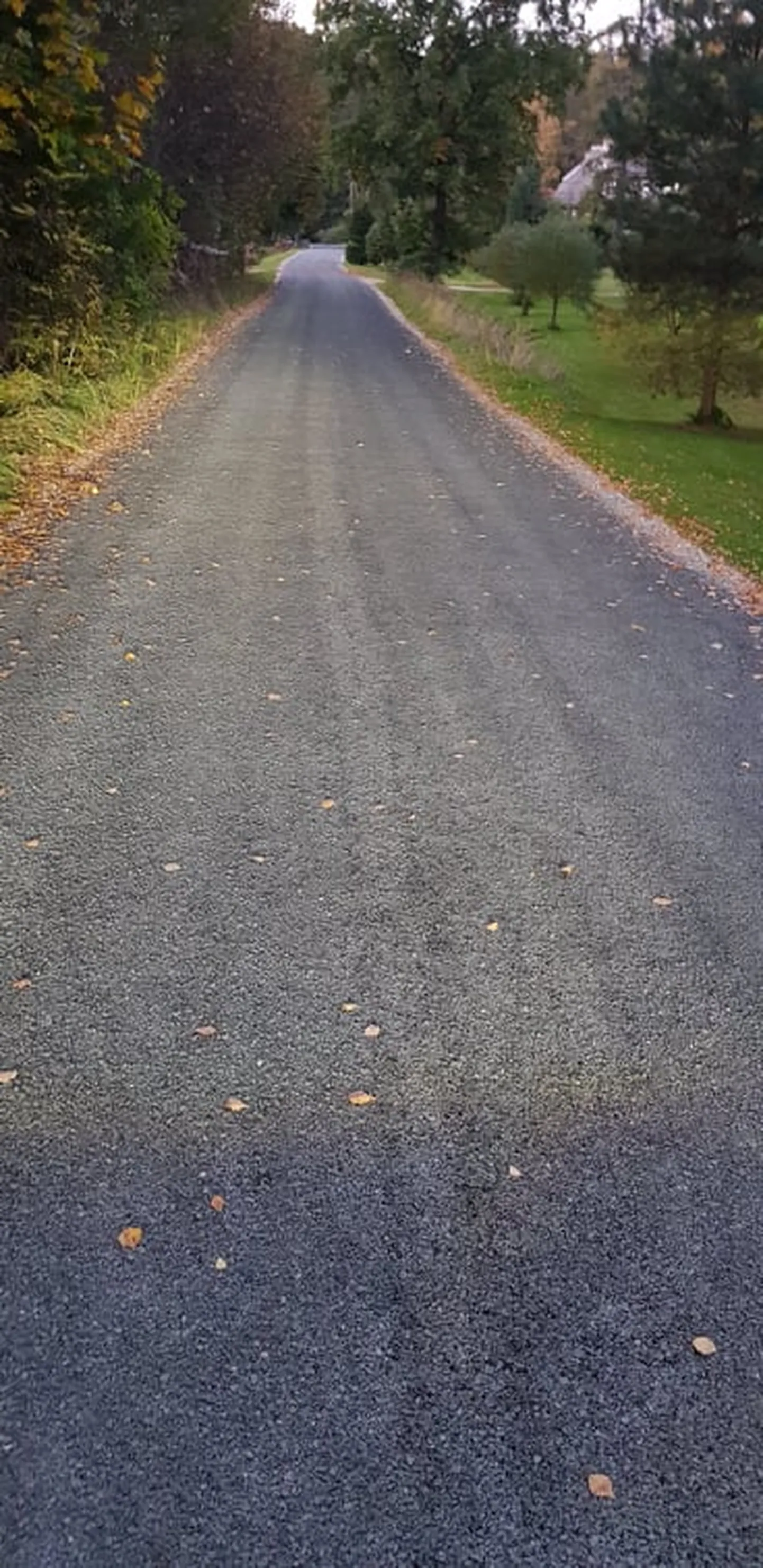 Keegi oli ootamatult küla tee asfalteerinud.