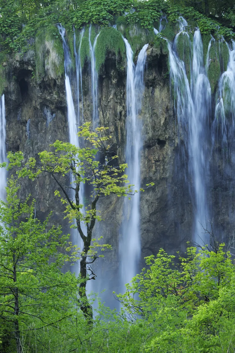 Фото статьи