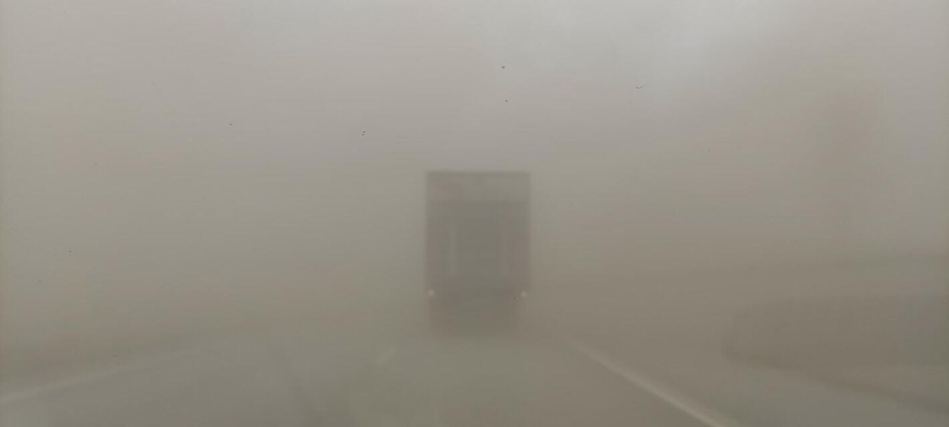 Видимость на шоссе была близка к нулю. К счастью, насколько известно, облако пыли не стало причиной ДТП.