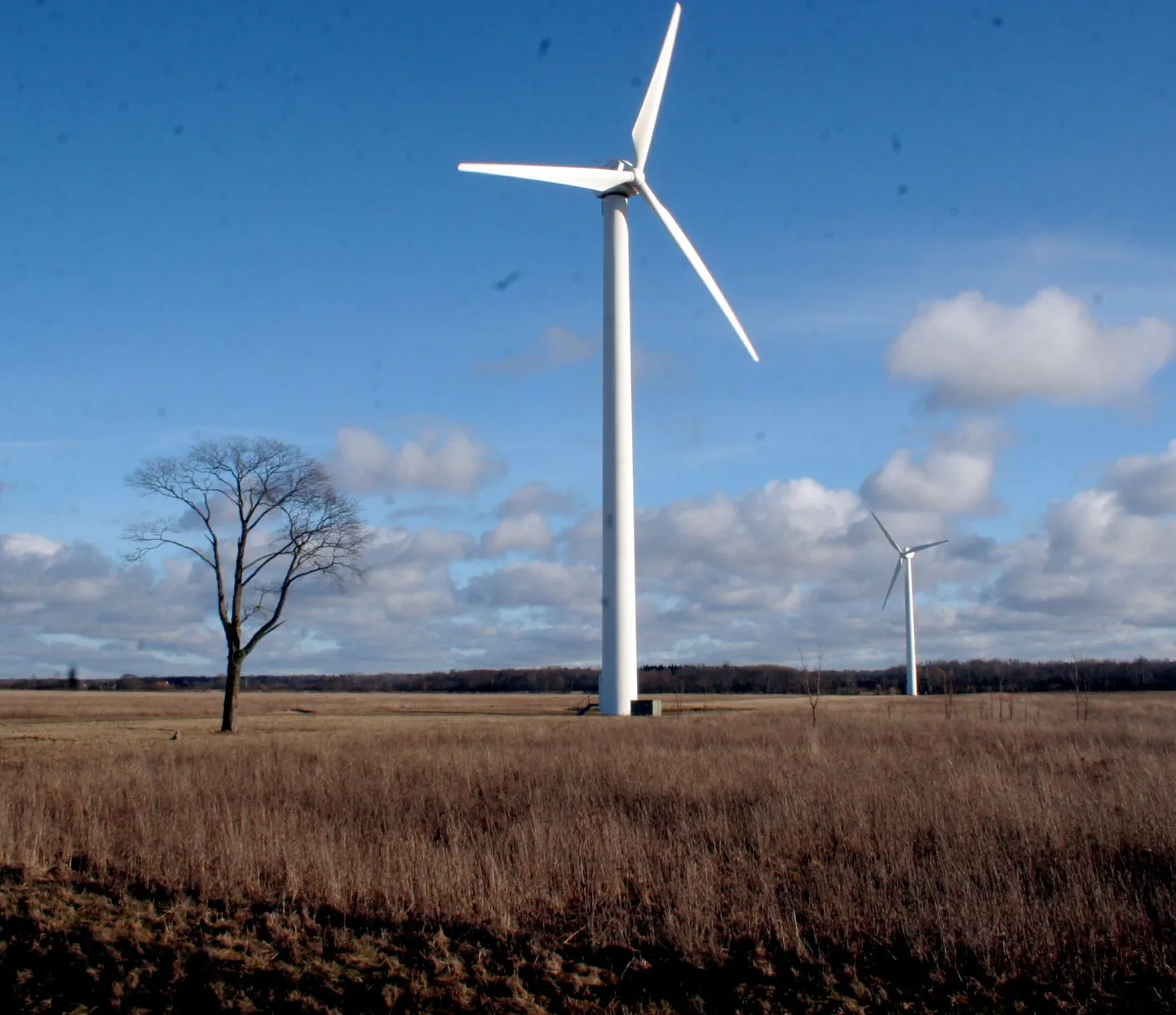 Tuuleenergia tootmine kogub Eestis hoogu.