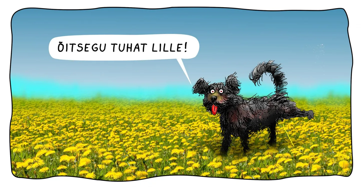 Teeme rahval tuju paremaks.