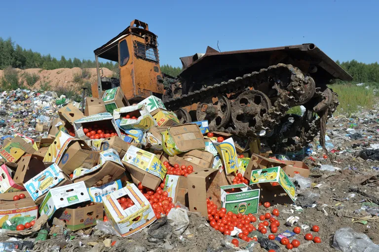 Läänest pärit tomatite hävitamine Venemaal