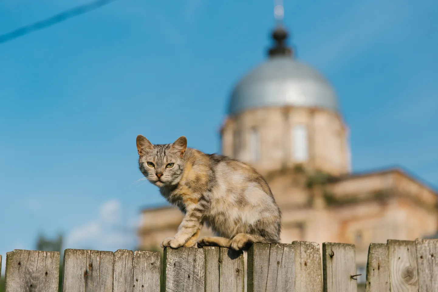 Kass Moskvas.