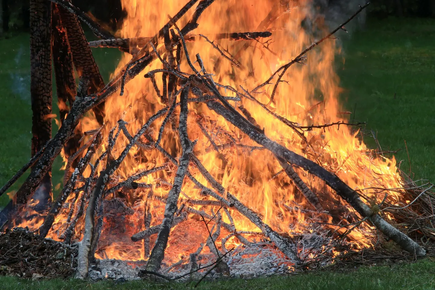 Põleng sai alguse tuleohutusnõudeid eiranud lõkkepõletamisest.