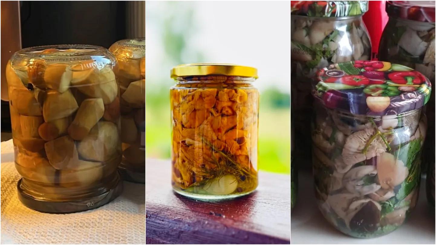 Ieziemo sasēņoto: 14 marinētu un sālītu sēņu receptes