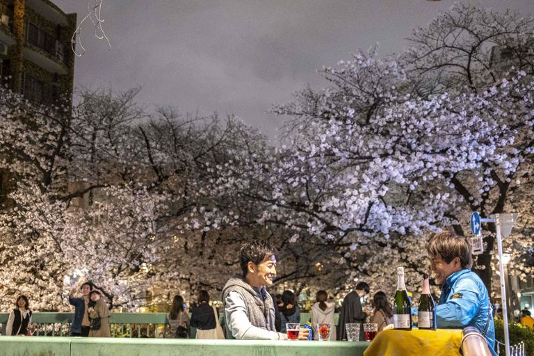 Люди любуются цветением сакуры и устраивают пикник у реки Мегуро в Токио, Япония, 27 марта 2022 года.