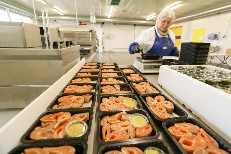 Ecofarmi Lemmetsa kalatsehhi töötajad koondati 2018 aastal.
