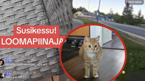«Nüüd on minust tehtud kõige hullem loomapiinaja!» Tiktokker