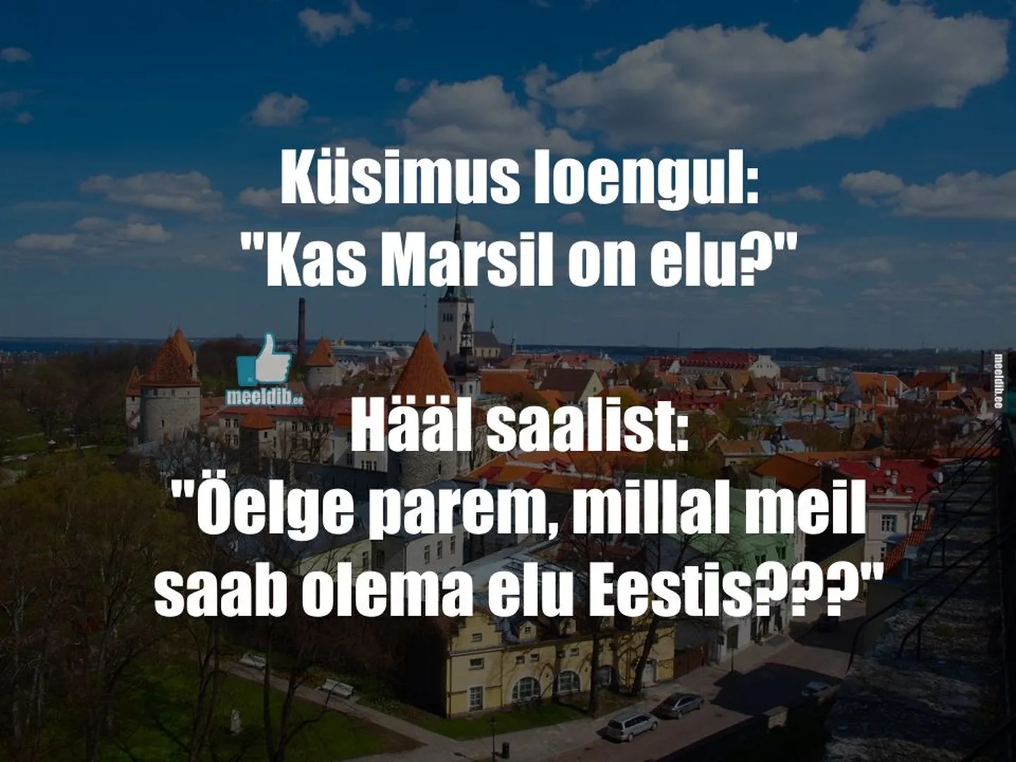Artikli foto