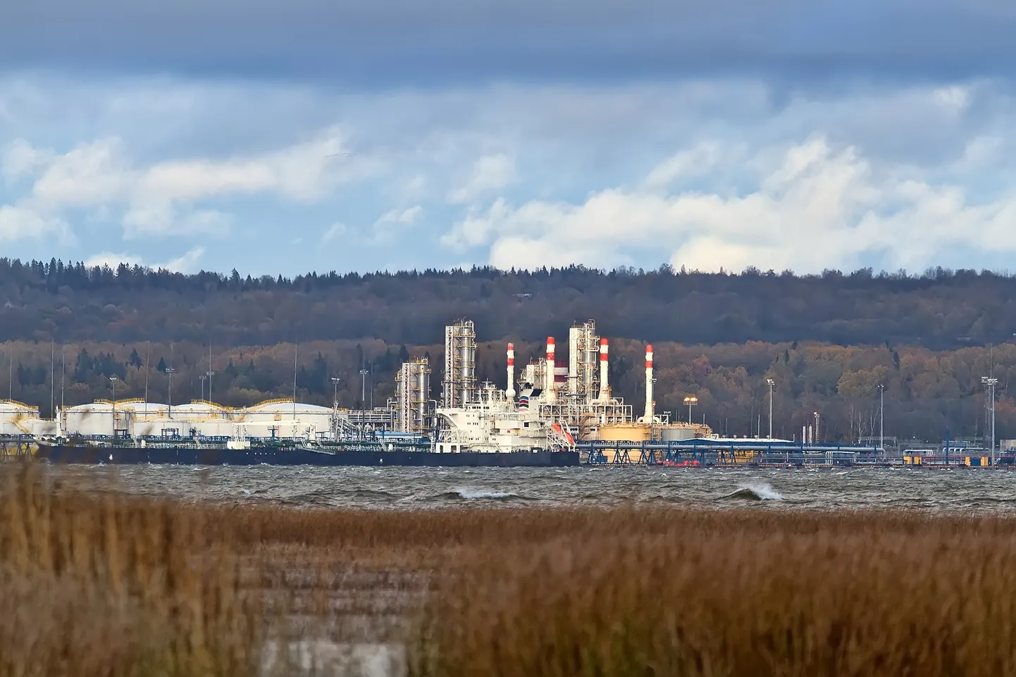 Нефтяной терминал в Усть-Луге