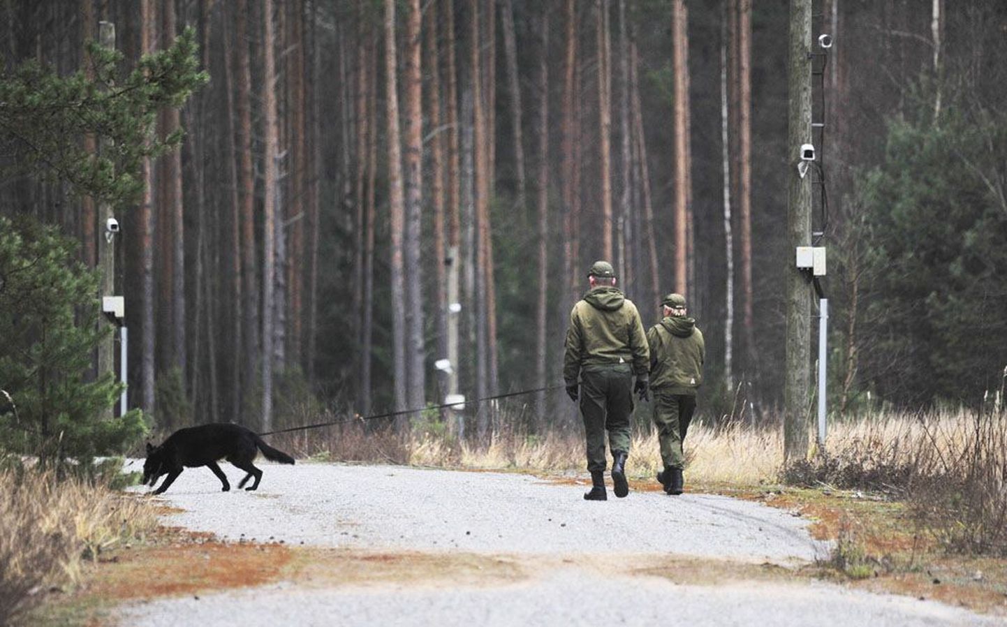 Piirivalvurid ja valvekoer Lõuna-Eestis piiri kontrollimas. Illustratiivne foto.