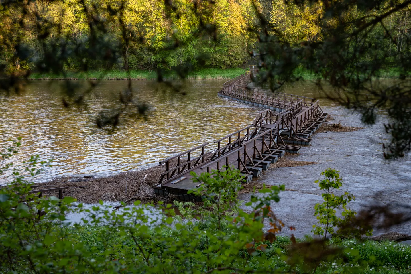 Raksta foto