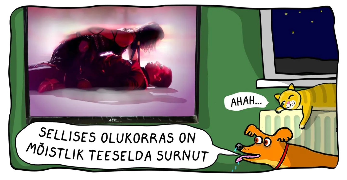 Teeme rahval tuju paremaks.