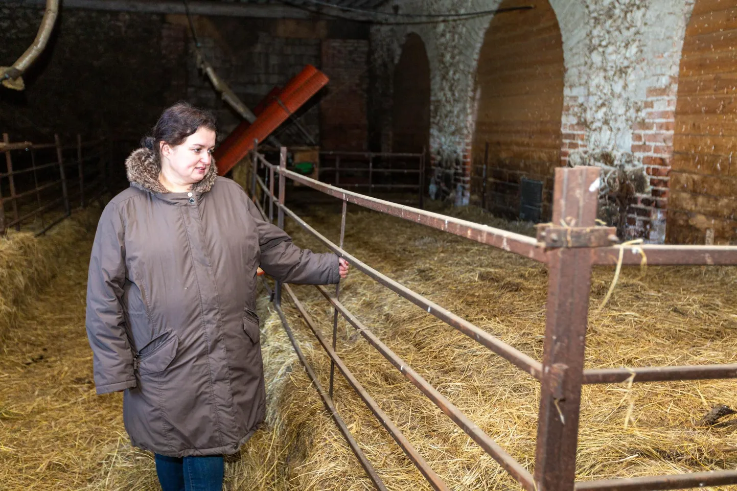Tühjas laudas seisev Üvasi talu perenaine Anne Grünberg ütleb, et veel suve algul oli tal sajapealine kitsekari, kuid hinnatõusude tõttu pidi ta, valu hinges, oma loomadest loobuma.