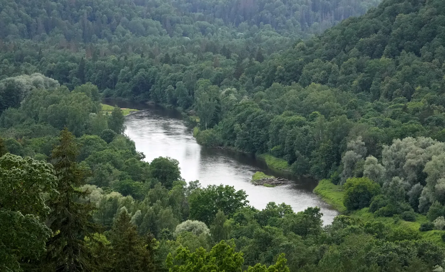 Gauja pie Siguldas.