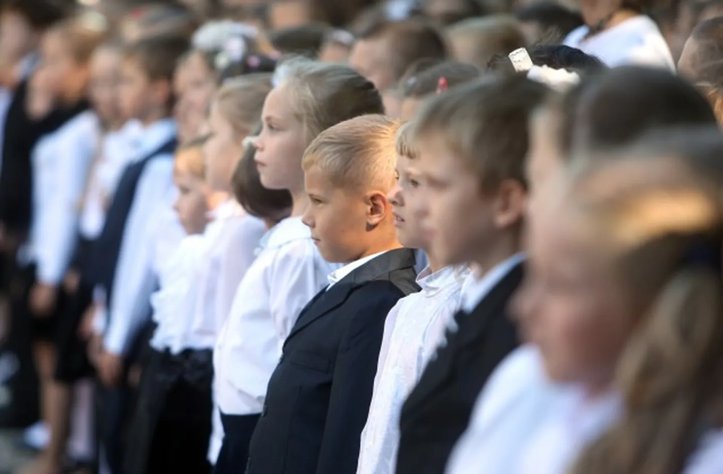 Фото статьи