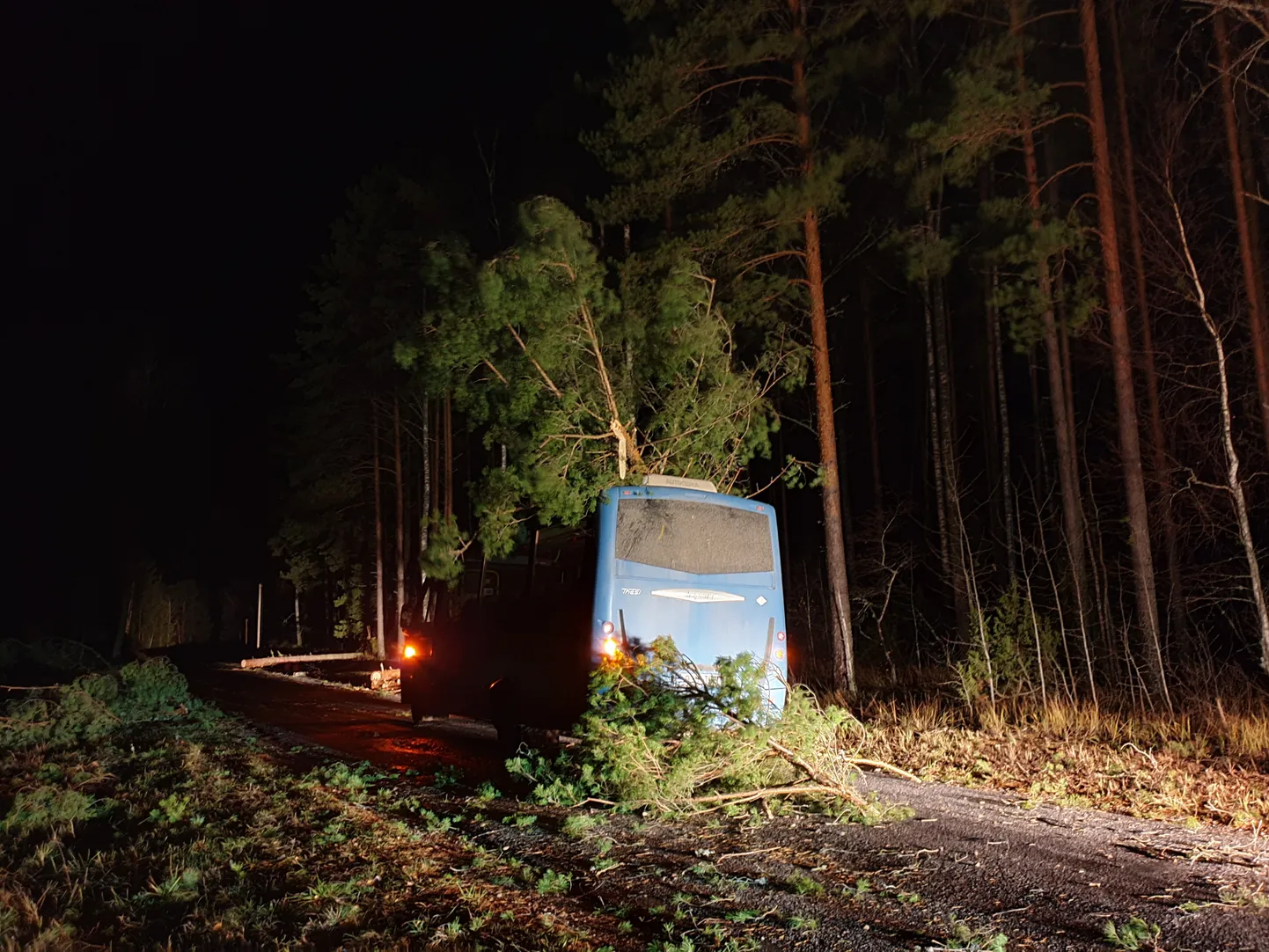 Võrtsjärve lähedal jäi buss murdunud puu alla.
