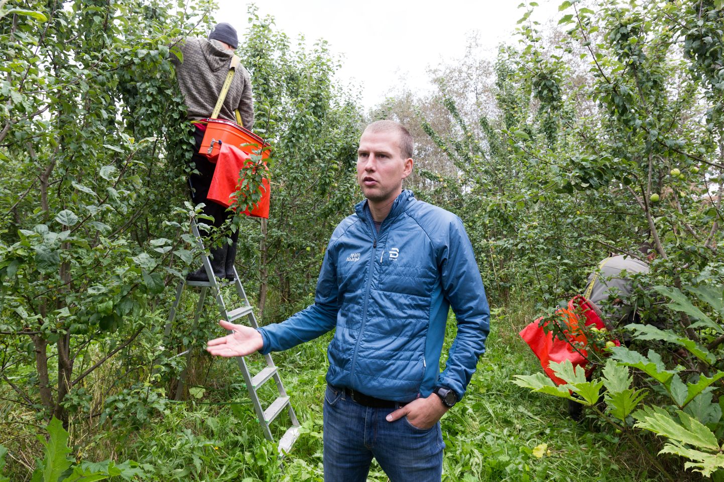 Mulgi Õuna tegevjuht Aivar Rehemaa on väitnud, et kahtlust äratanud õunad osteti kokku mitmest väiksest aiast. Nüüd hakkab politsei uurima, kust täpselt. Fotol on Rehemaa tollases Karksi vallas Mulgi Õunale kuuluvas aias.