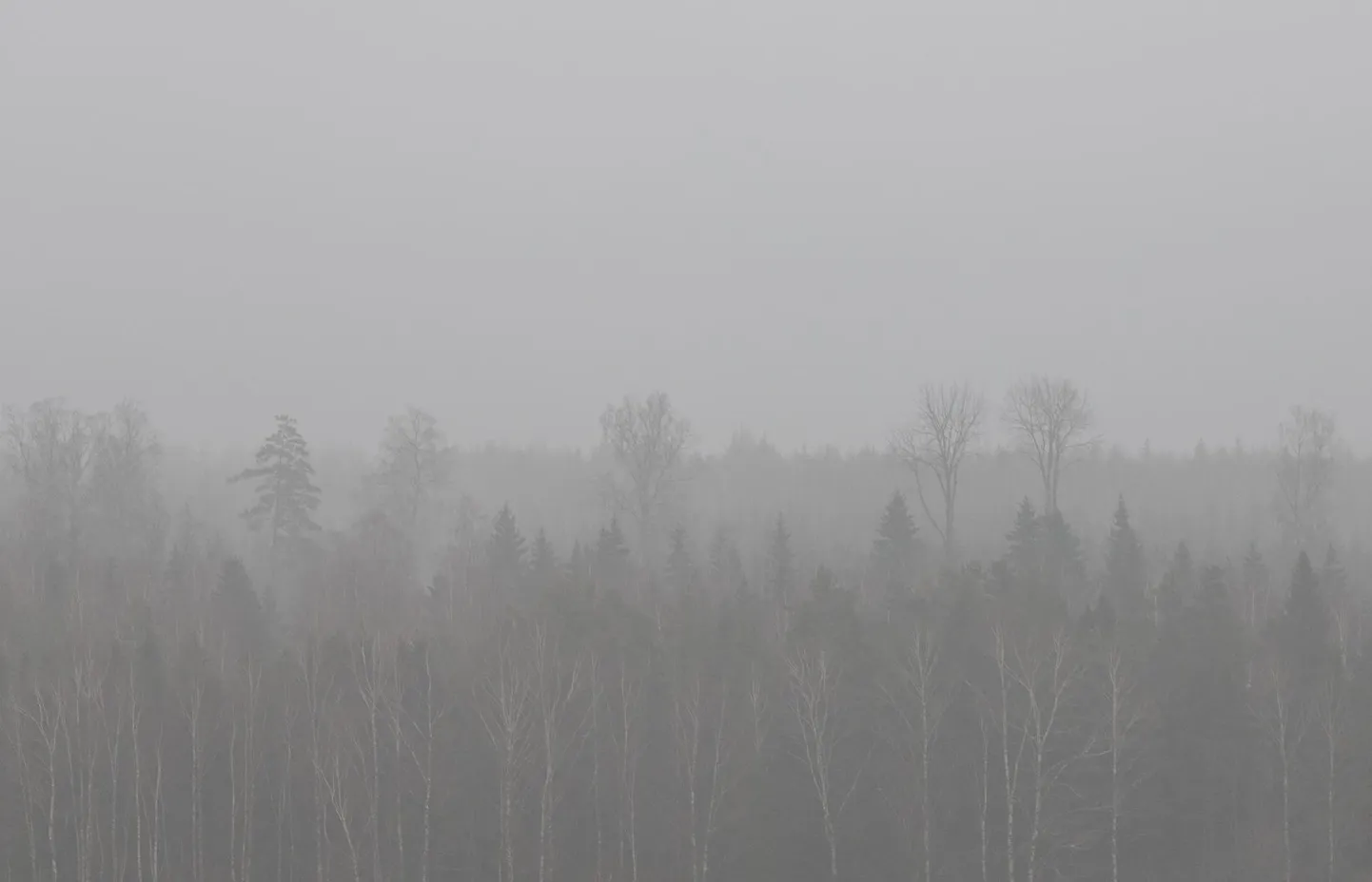 Udu võib paiguti nähtavust piirata.