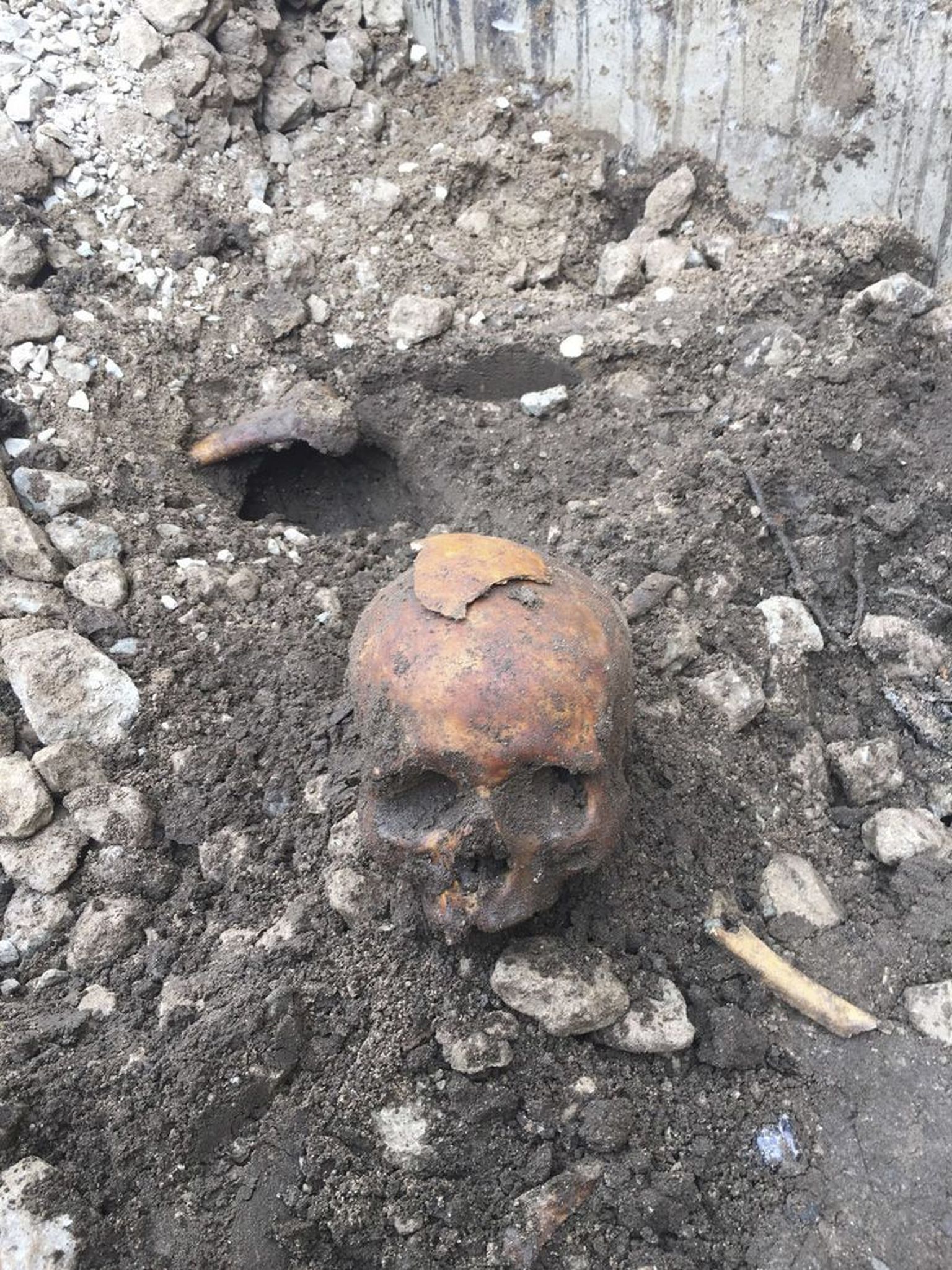Üks Vanamõisas leitud kahest kolbast.