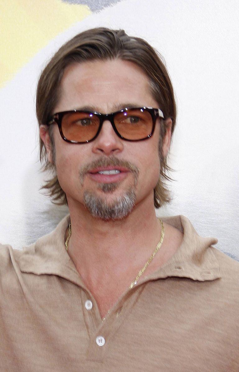 Brad Pitt. PHOTO/MAVRIXONLINE.COM 
