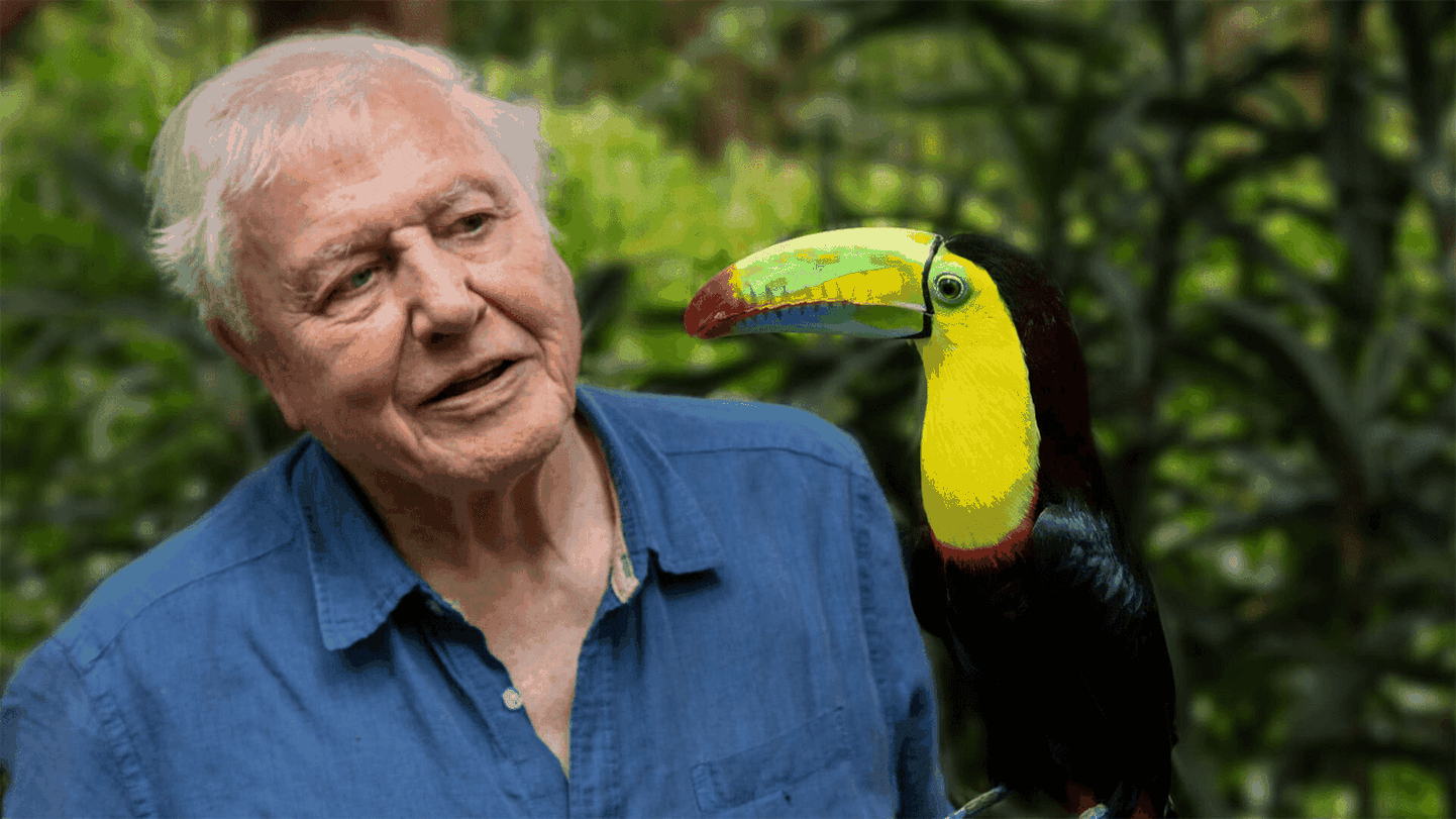 «Life in Color with David Attenborough»