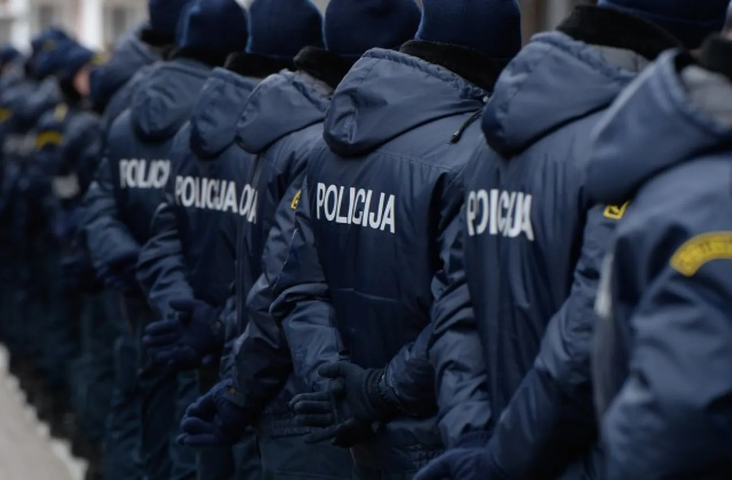 Фото статьи