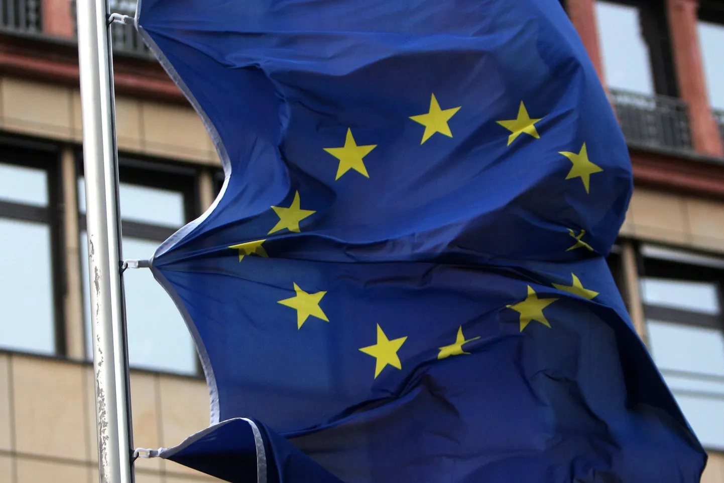 Euroopa Liidu lipp