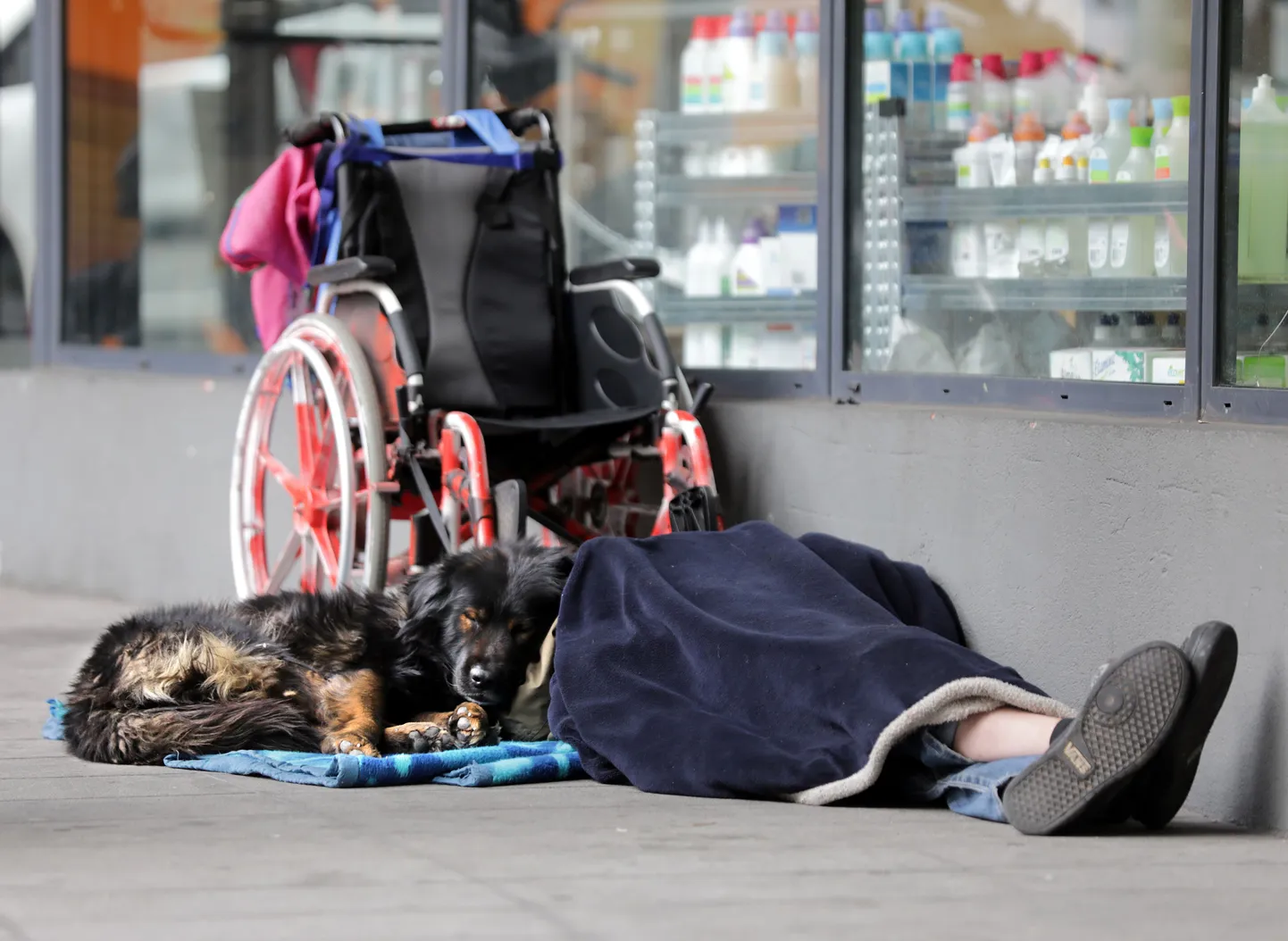 Бездомный. Фото иллюстративное.
