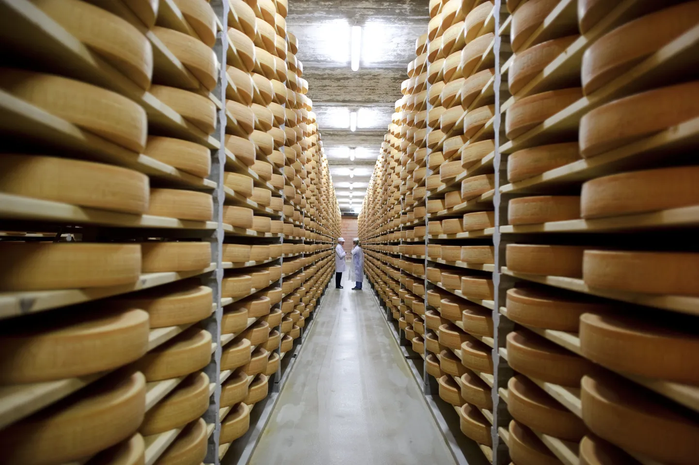 Uue tehase peamiseks toodanguks on juust ja pulbrid, kuna nendes tootegruppides on E-Piimal pikaajalised kogemused. Pilt on illustratiivne.