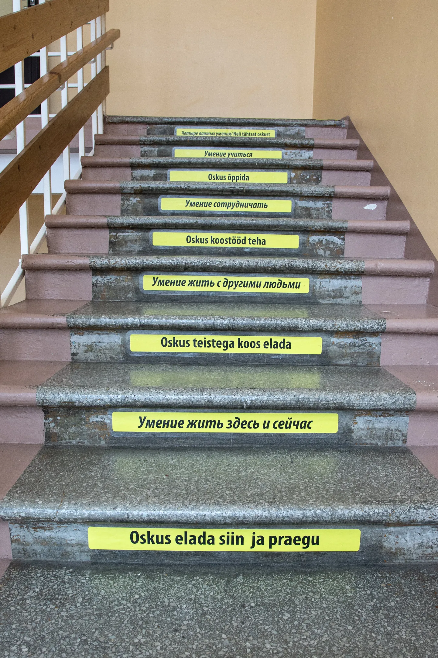 Фото статьи