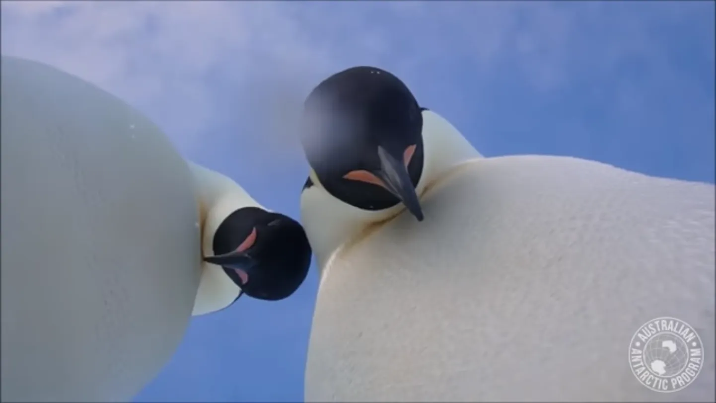 Фото статьи