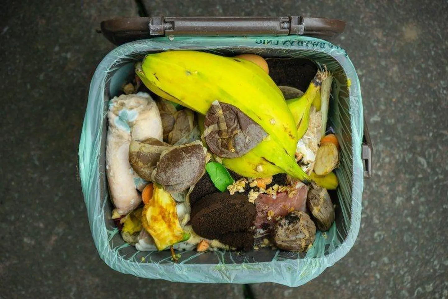 Biojäätmed moodustavad praegu segaolmejäätmetest ligi kolmandiku.